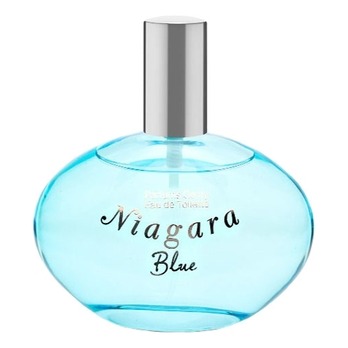 Parfums Genty Niagara Blue - купить женские духи, цены от 510 р. за 100 мл