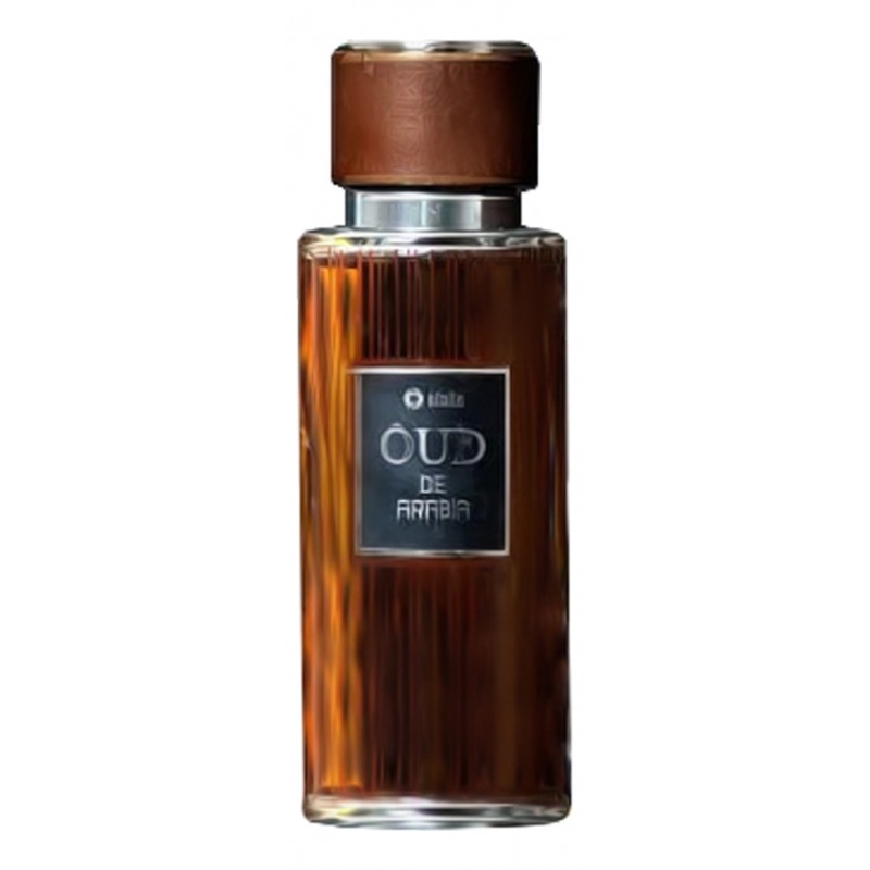 Efolia Oud De Arabia купить мужские духи, цены от 5560 р. за 100 мл