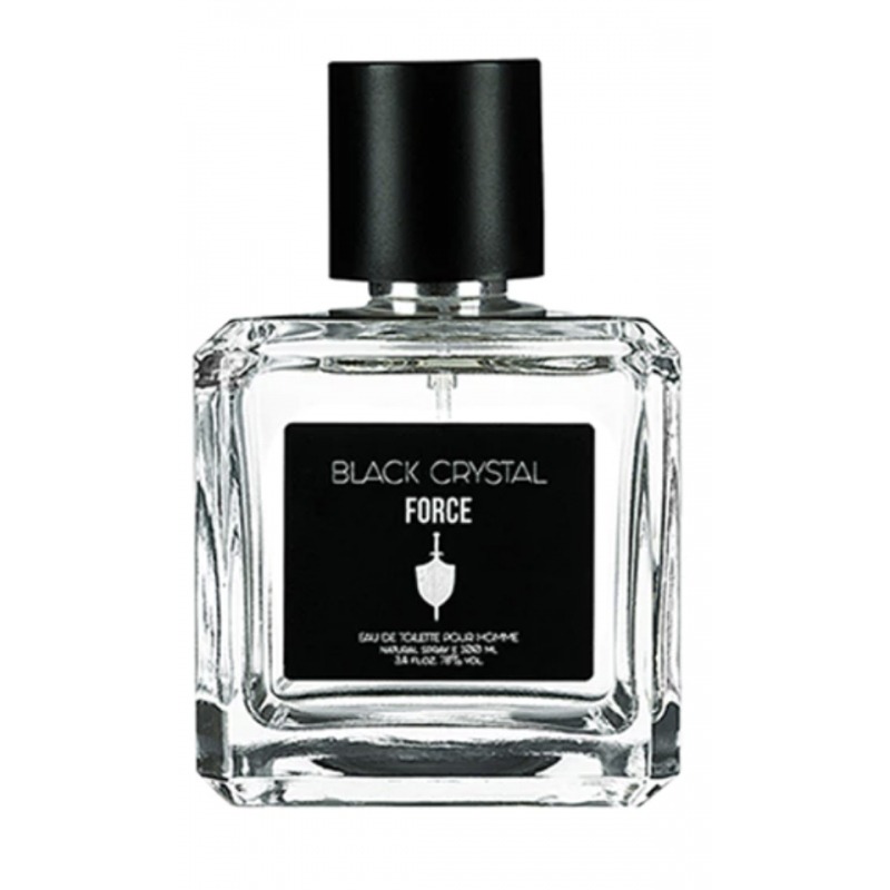 Parfums Genty Black Crystal Force - купить мужские духи, цены от 850 р ...