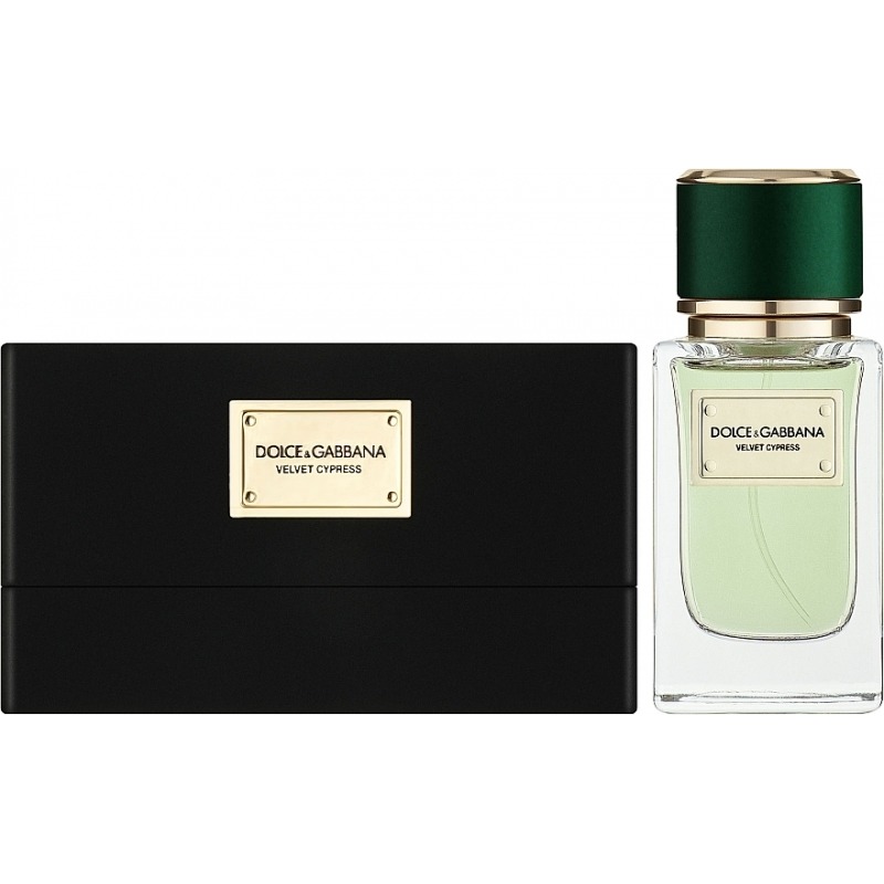 DOLCE & GABBANA Velvet Cypress - купить мужские духи, цены от 14370 р. за 50 мл