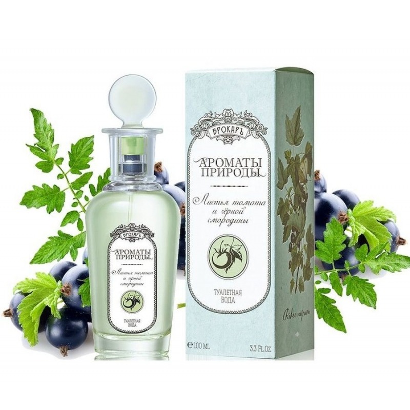 Brocard Листья томата и черной смородины - купить женские духи, цены от ...