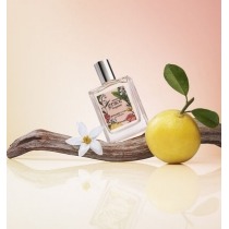 Amazing Grace Bergamot от Philosophy - 3