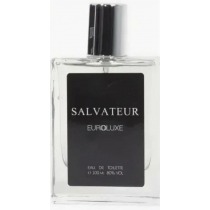 Salvateur от Euroluxe - 2