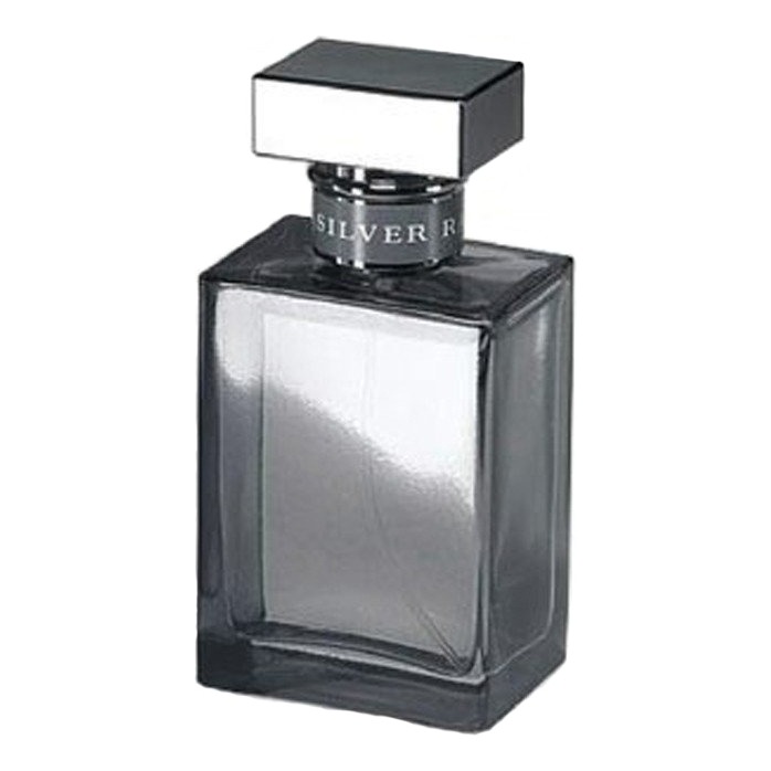 Ralph Lauren Romance Silver - купить мужские духи, цены от 6990 р. за 50 мл