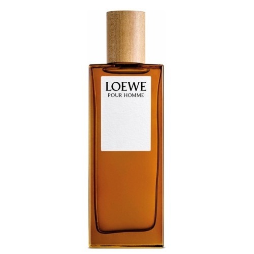 Loewe Pour Homme - купить мужские духи, цены от 370 р. за 2 мл