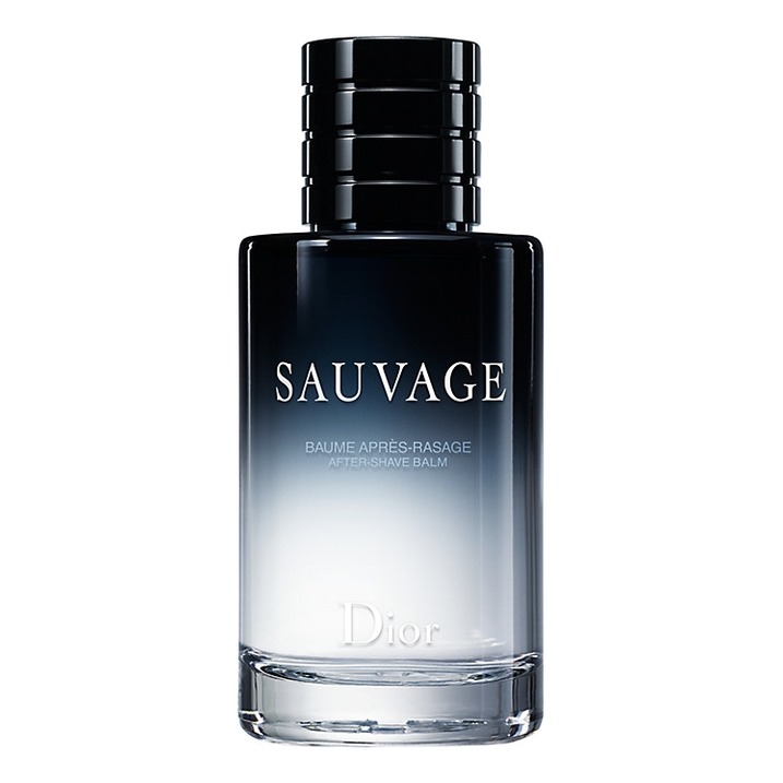 Sauvage туалетная вода мужская. Sauvage Dior 100. Sauvage Dior мужские духи. Духи Саваж диор мужские. Dior sauvage 100ml.